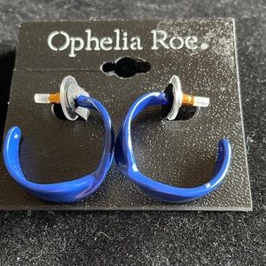 Silver tone and blue large hoop earrings for pierced ears.